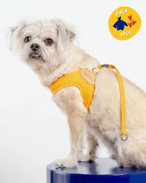 Adjustable Easy Dog Harness in Yellow (Dog & Co. X Charlie's Backyard Exclusive)