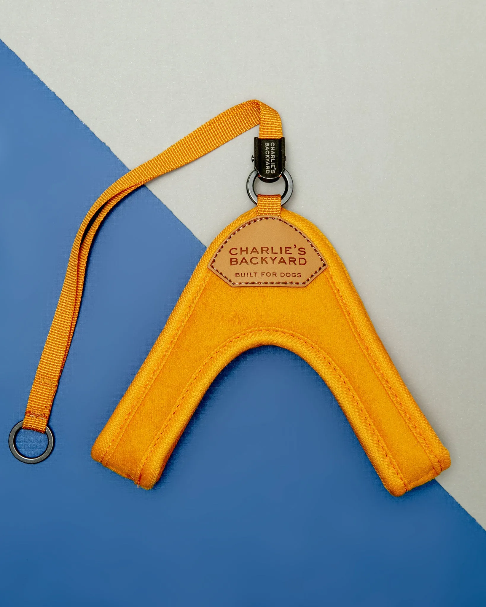 Adjustable Easy Dog Harness in Yellow (Dog & Co. X Charlie's Backyard Exclusive)