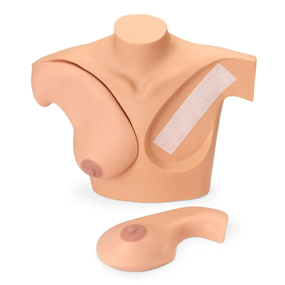 Breast Examination Simulator, Medium