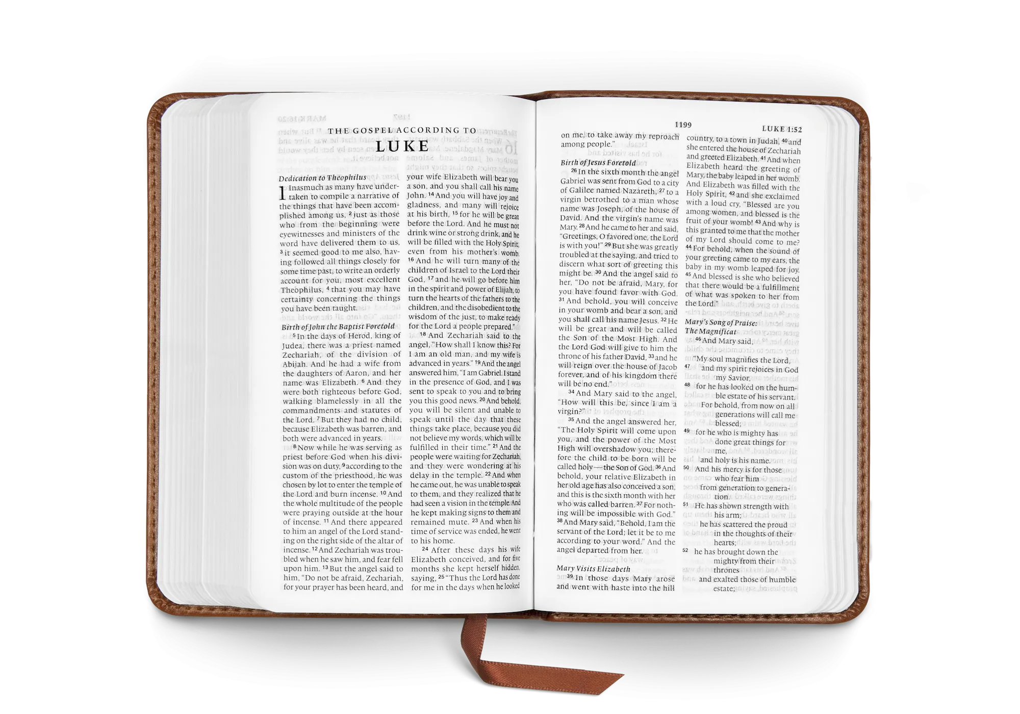 ESV Pocket Bible (Trutone, Chestnut)