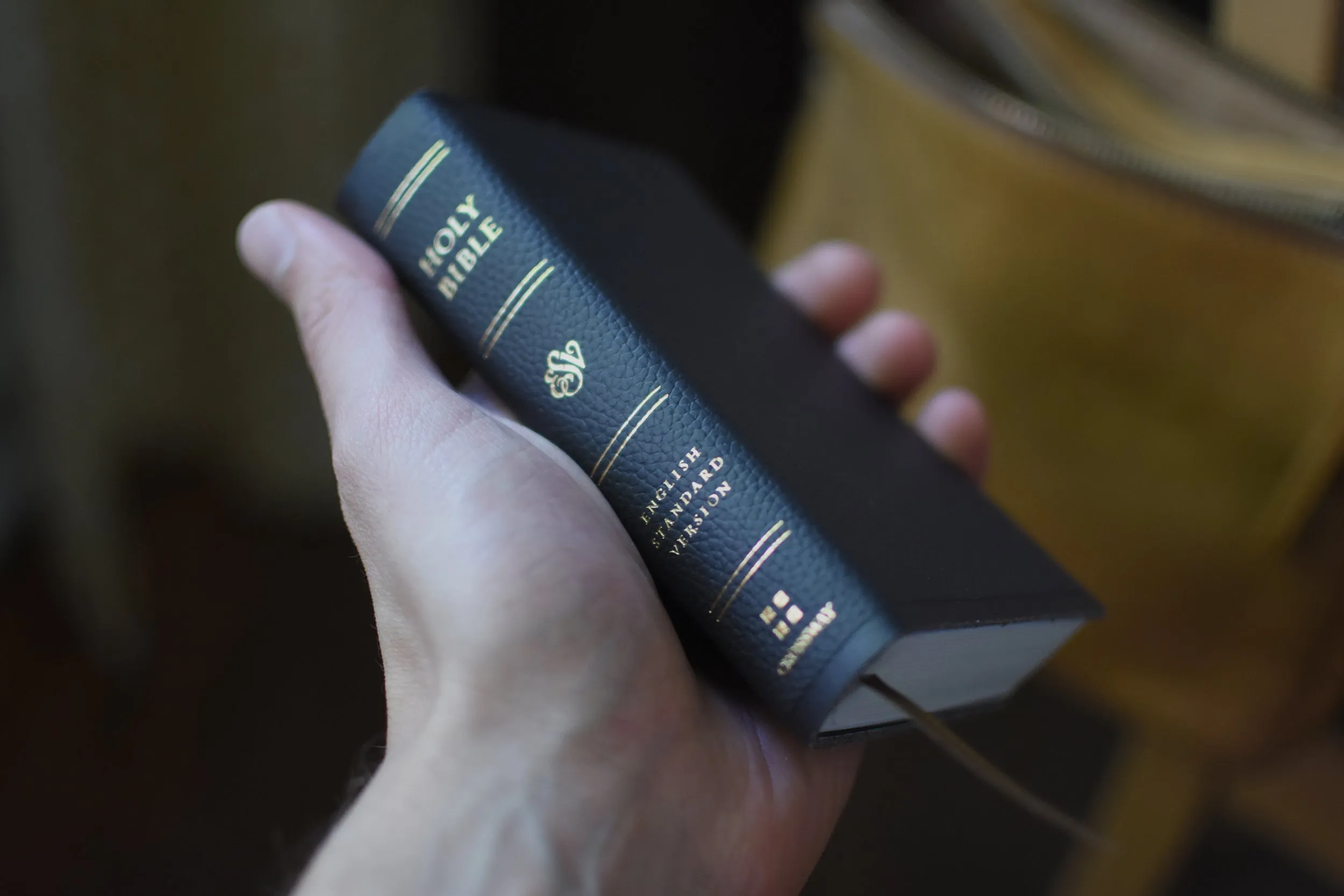 ESV Pocket Bible (Trutone, Chestnut)